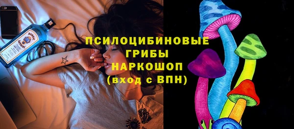 spice Белокуриха